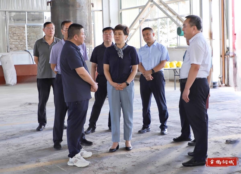 郅頌到南部新城調研